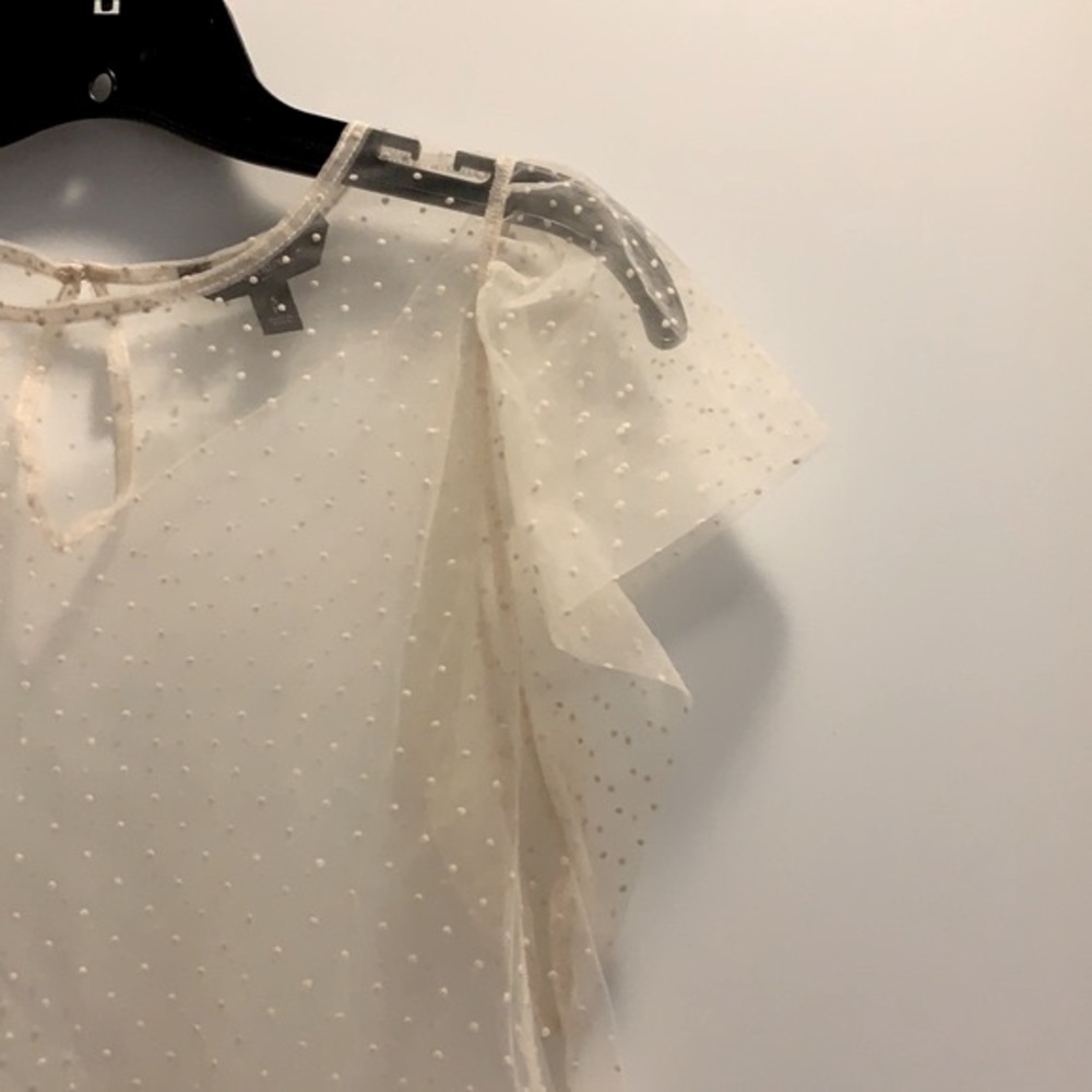 BANANA REPUBLIC FLOCKED SHEER BLOUSE BNWOT